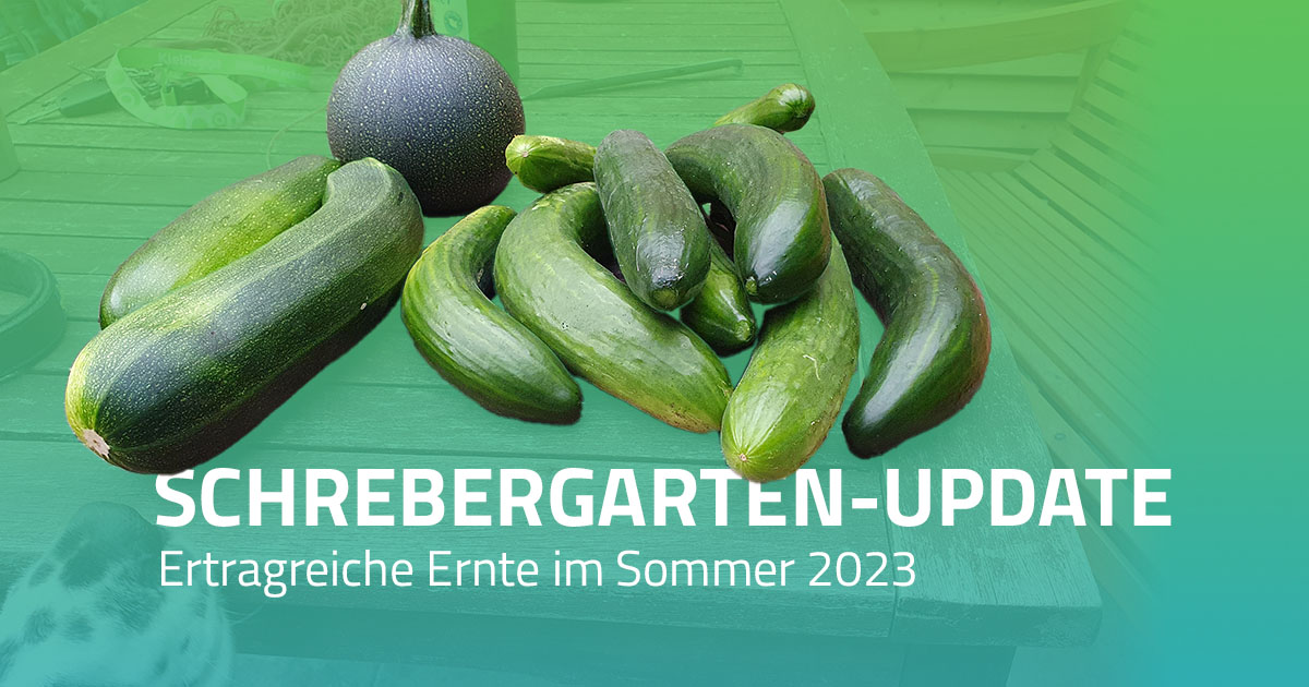 Schrebergarten-Update: ertragreiche Ernte 2023